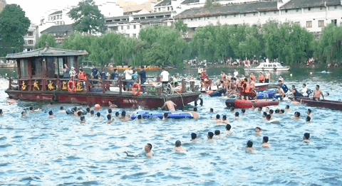 龙舟能盈利吗,龙舟发展情况