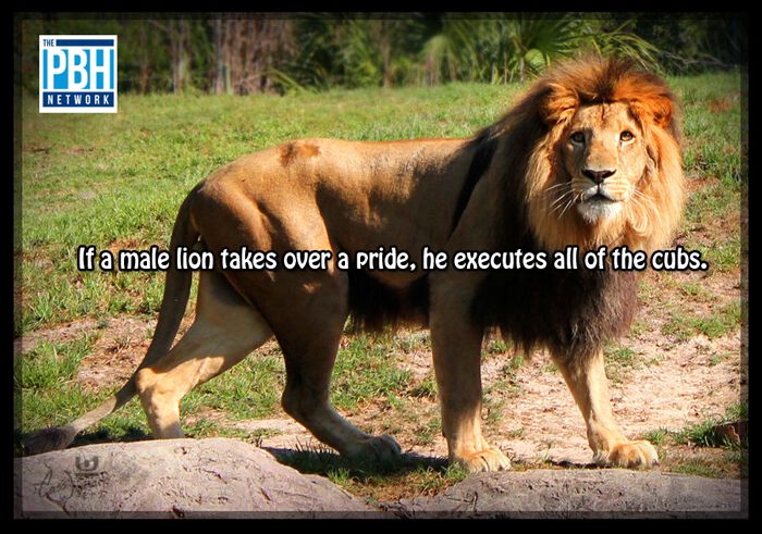 100件有趣的事,100个有趣的生活小事