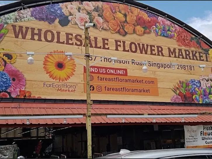 新手必看鲜花养护攻略,鲜花在水里能养几天会死