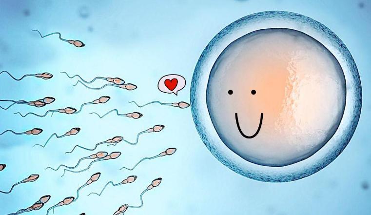 怀孕后还有月经是怎么回事,月经和怀孕会同时来吗