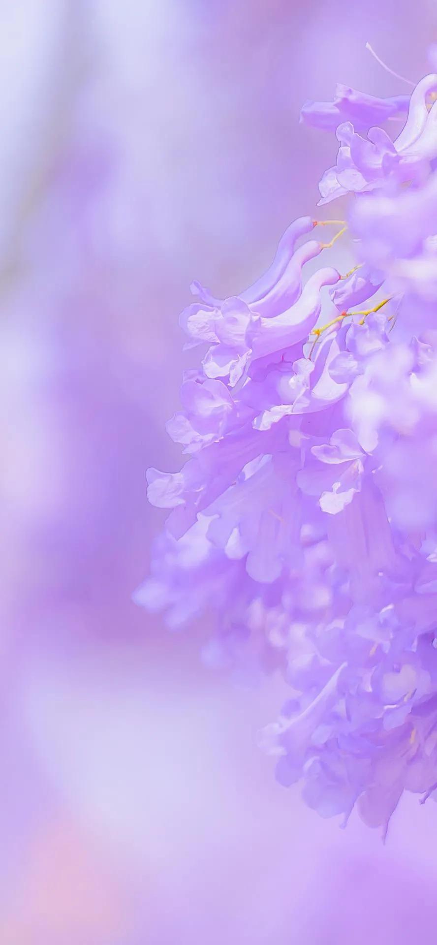 超高清海洋沙滩风景壁纸全屏,湛蓝的海水海滩风景高清壁纸