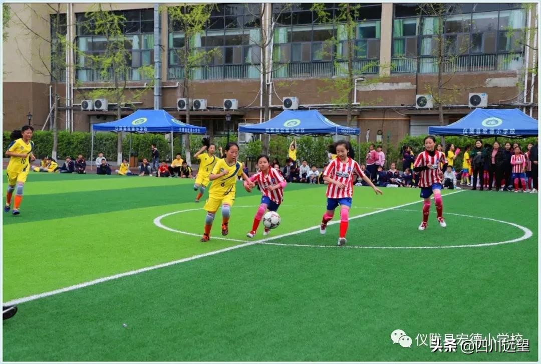 仪陇县新政小学足球联赛2023,仪陇县新政小学第九届足球比赛
