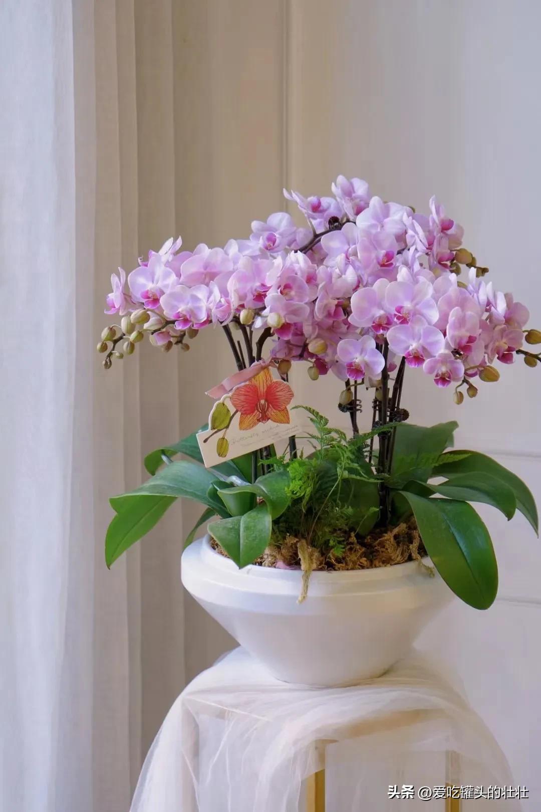 “好事做尽，必有灾殃”：扶助兄弟姐妹，勿忘留心机