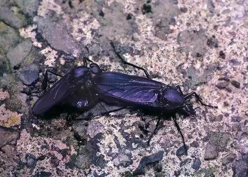 怀念90年代的回忆,80年代90年代满满的回忆