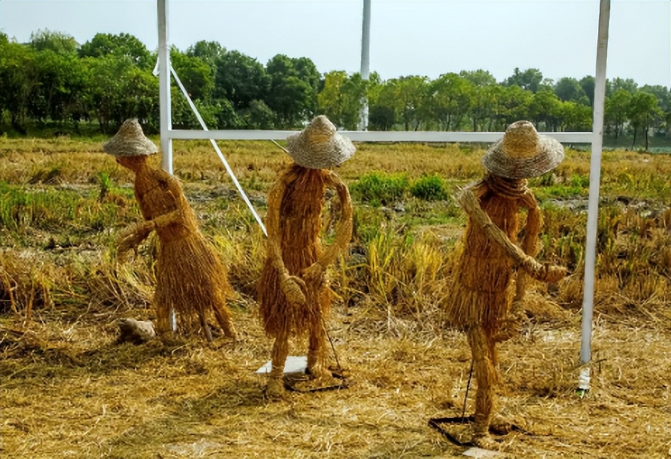 防止鸟偷吃的最好方法,怎样可以驱赶鸟类偷食庄稼