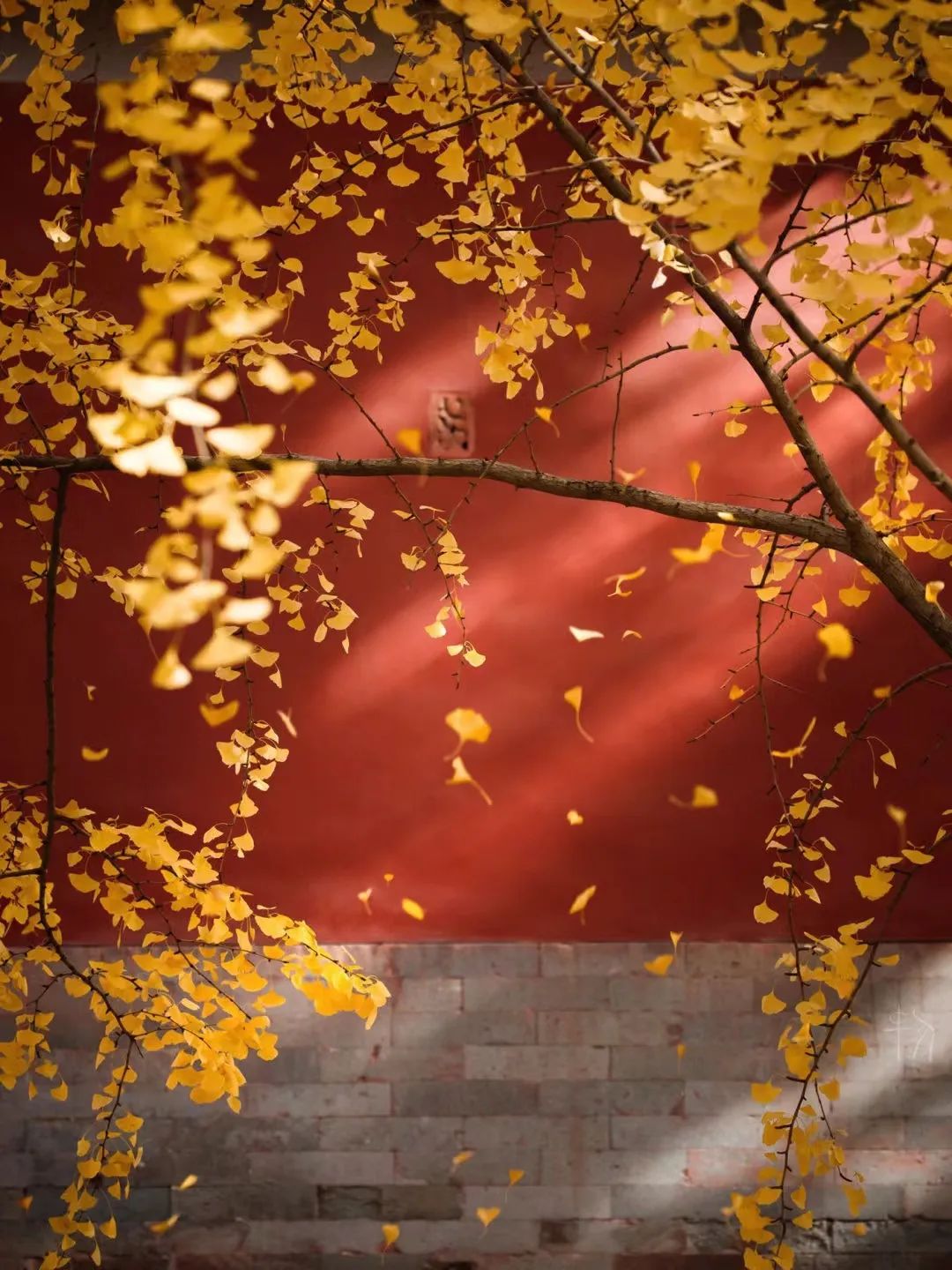 一入秋北京就变成了北平原文,一入秋北京就成了北平是谁说的