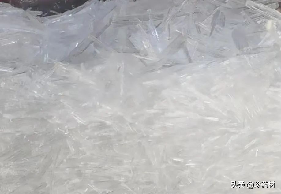 12月27日中药材市场快讯：连翘、柴胡、山楂、僵蚕、板蓝根、菊花