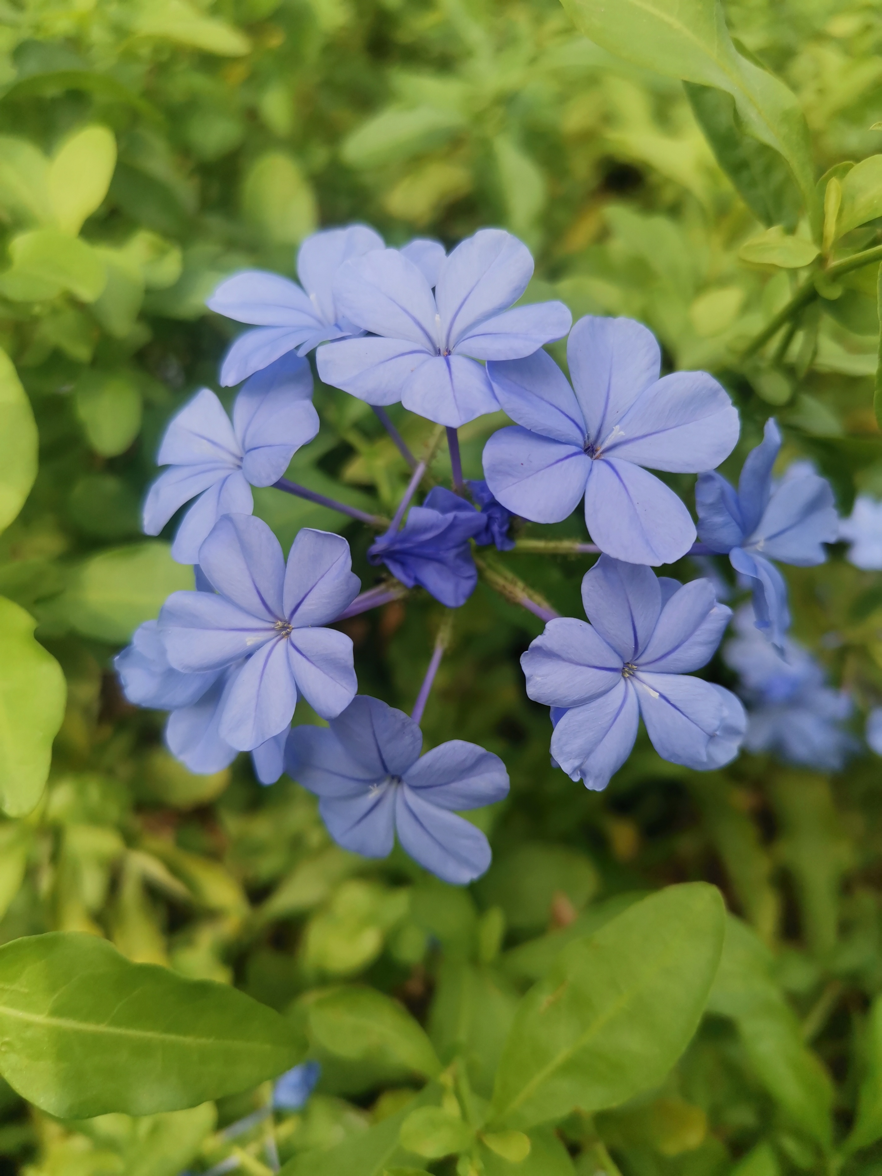 38妇女节文案高级,38妇女节文案女装