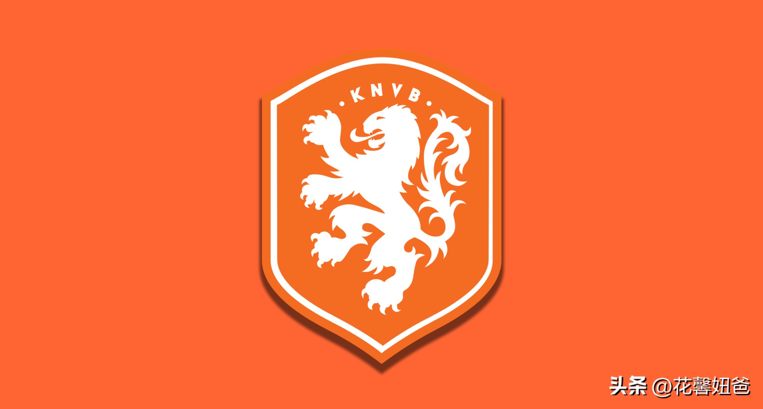 卡塔尔世界杯荷兰,卡塔尔世界杯观赛指南书籍