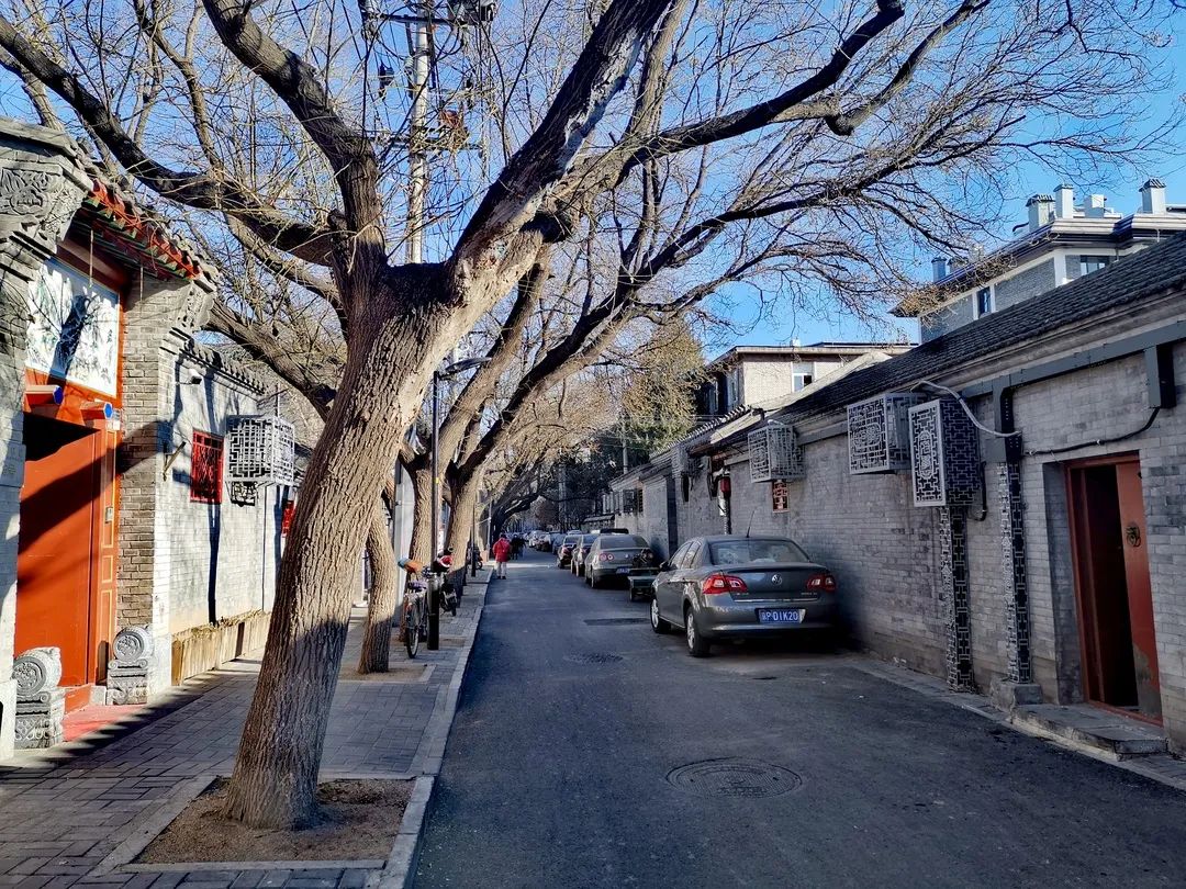 2022北京最美胡同,北京东城最美胡同