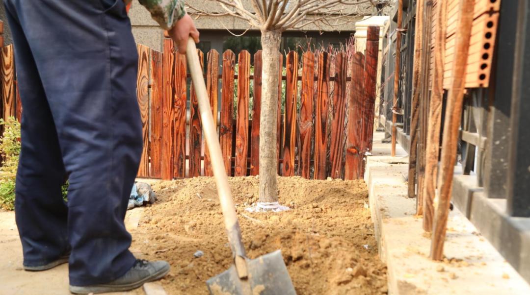 迭新什么意思,迭新是什么意思