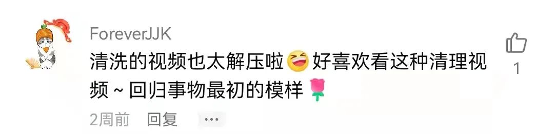 解压赶海撬鲍鱼,解压视频赶海挖东西