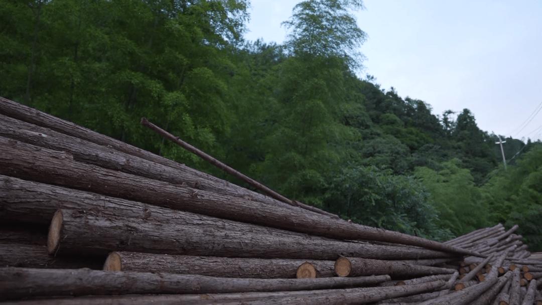 贵州女子远嫁江苏,贵州女人远嫁贫困山区