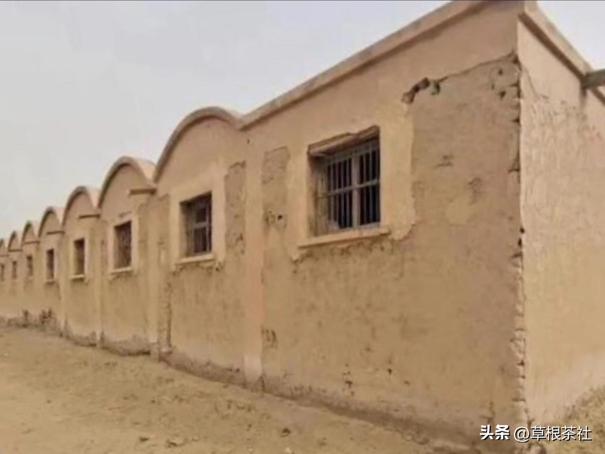 听她讲述在*疆新**的支边往事和情感经历：她说她的雅号叫上海鸭子