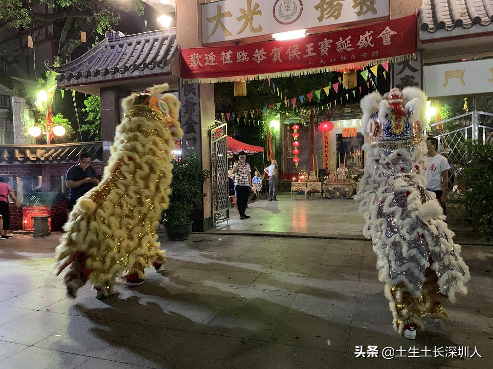 醒狮和瑞狮的区别在哪,醒狮的运动特点