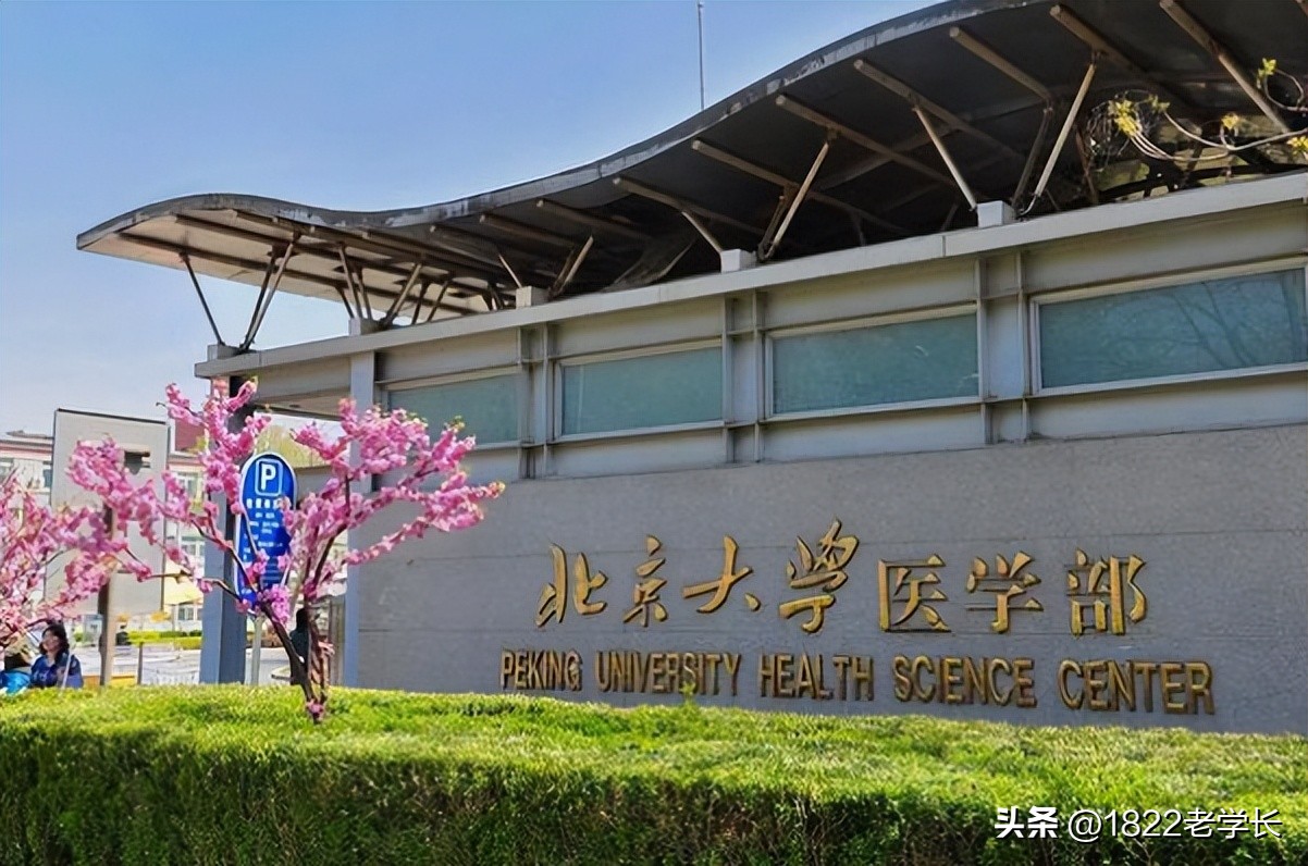 八年制医学教育本博连读,临床医学八年本博连读前景如何