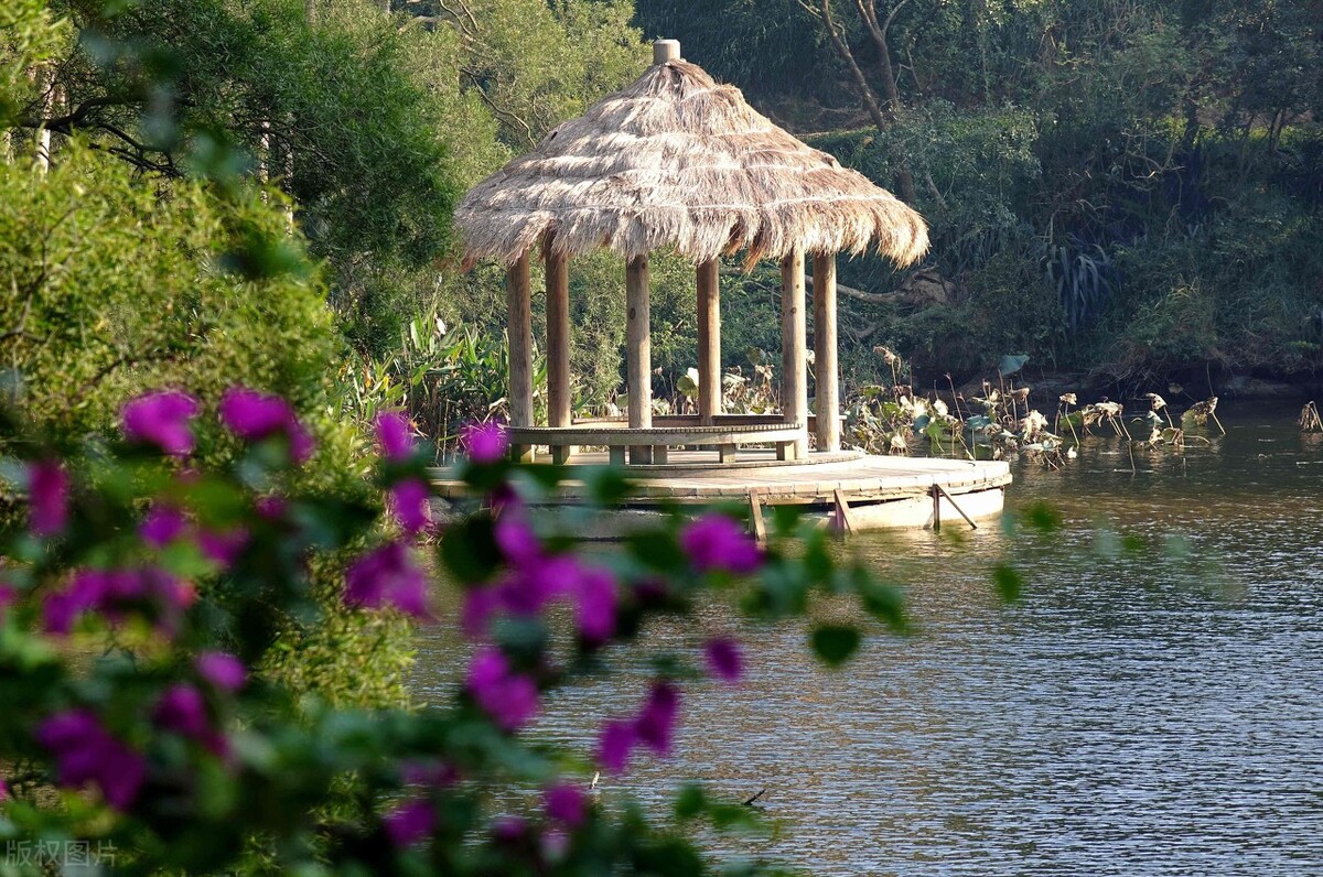 厦大情人谷怎么走,厦大情人谷游玩攻略