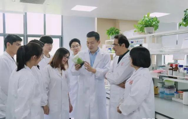 宁波大学和普通211哪个好,宁波大学比某些211好吗