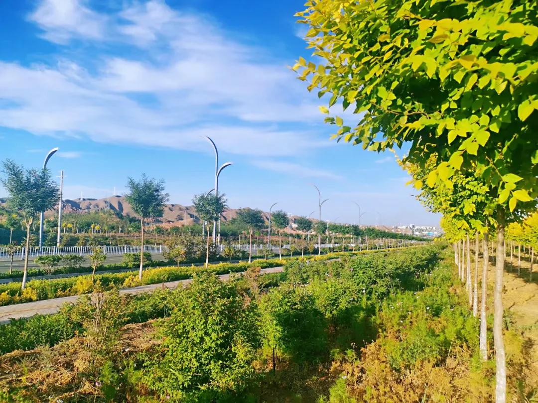 更有“温度”更有“热度”……白银区，一座值得爱的城市