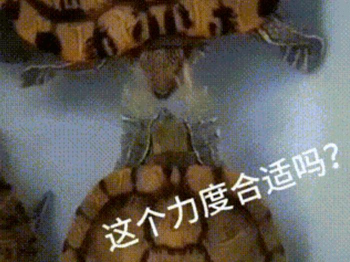 直女到底有多难撩,怎么撩直女到底有多难