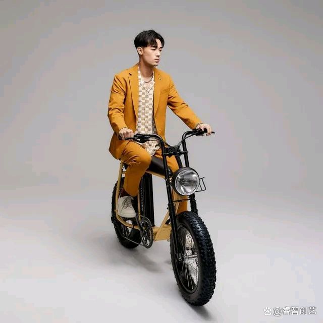 德国复古电动单车,复古单车电动