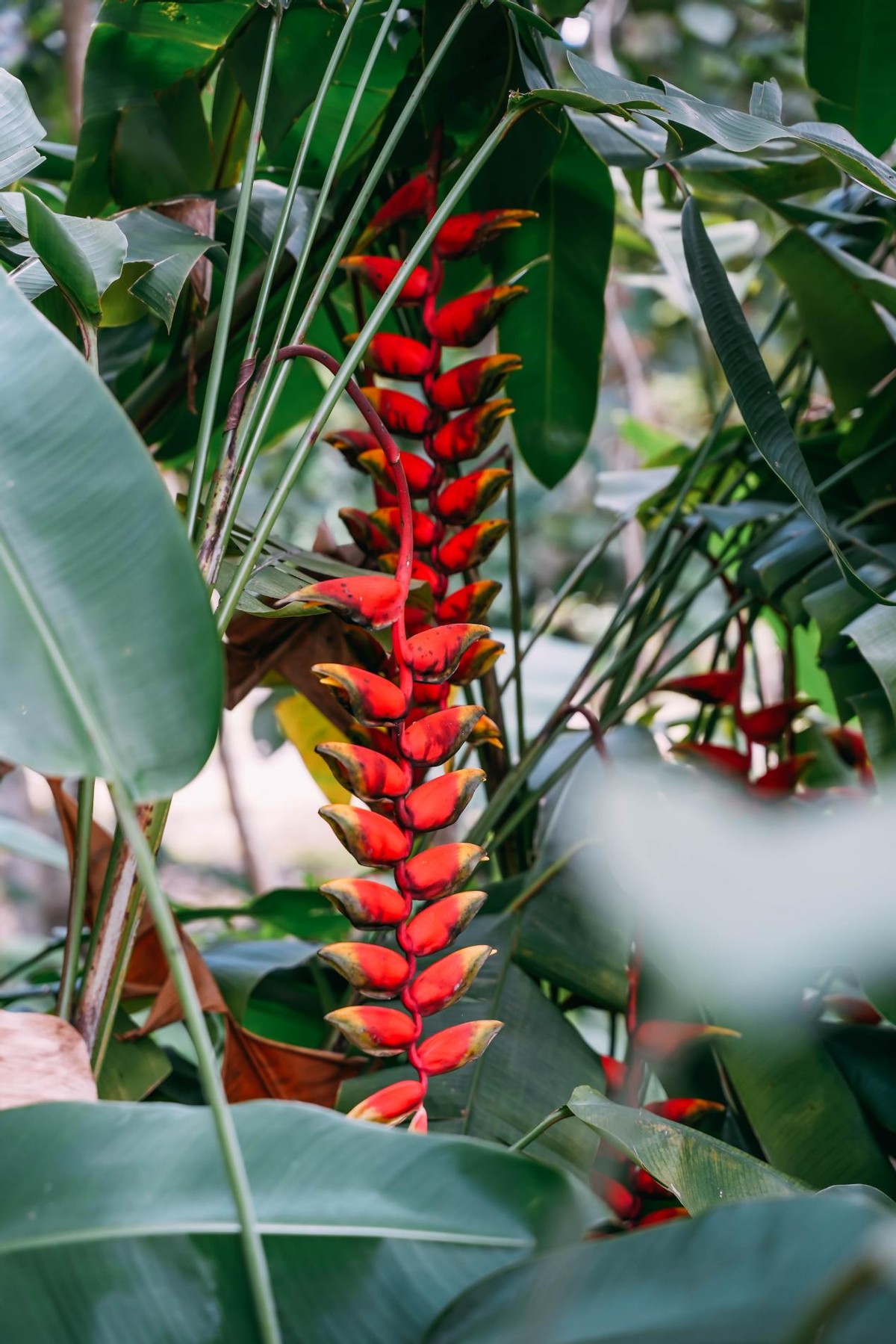 炎炎夏日，踏浪而来，赶赴一场和海南的约“惠”