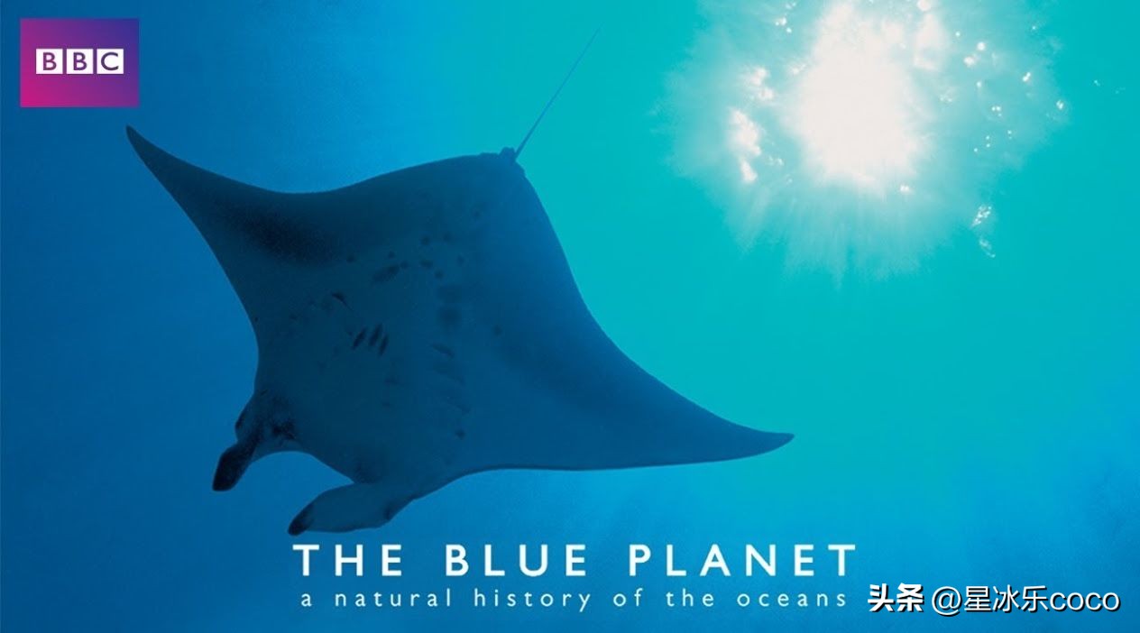 推荐8部bbc神级高分纪录片,bbc十部顶级纪录片下载