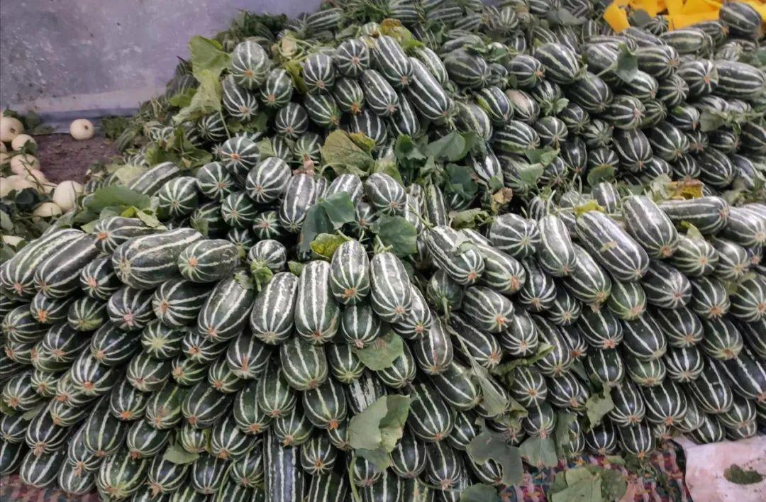 厉害！这个山东蔬菜代办姑娘从跑市场发名片做起，如今卖货俄罗斯