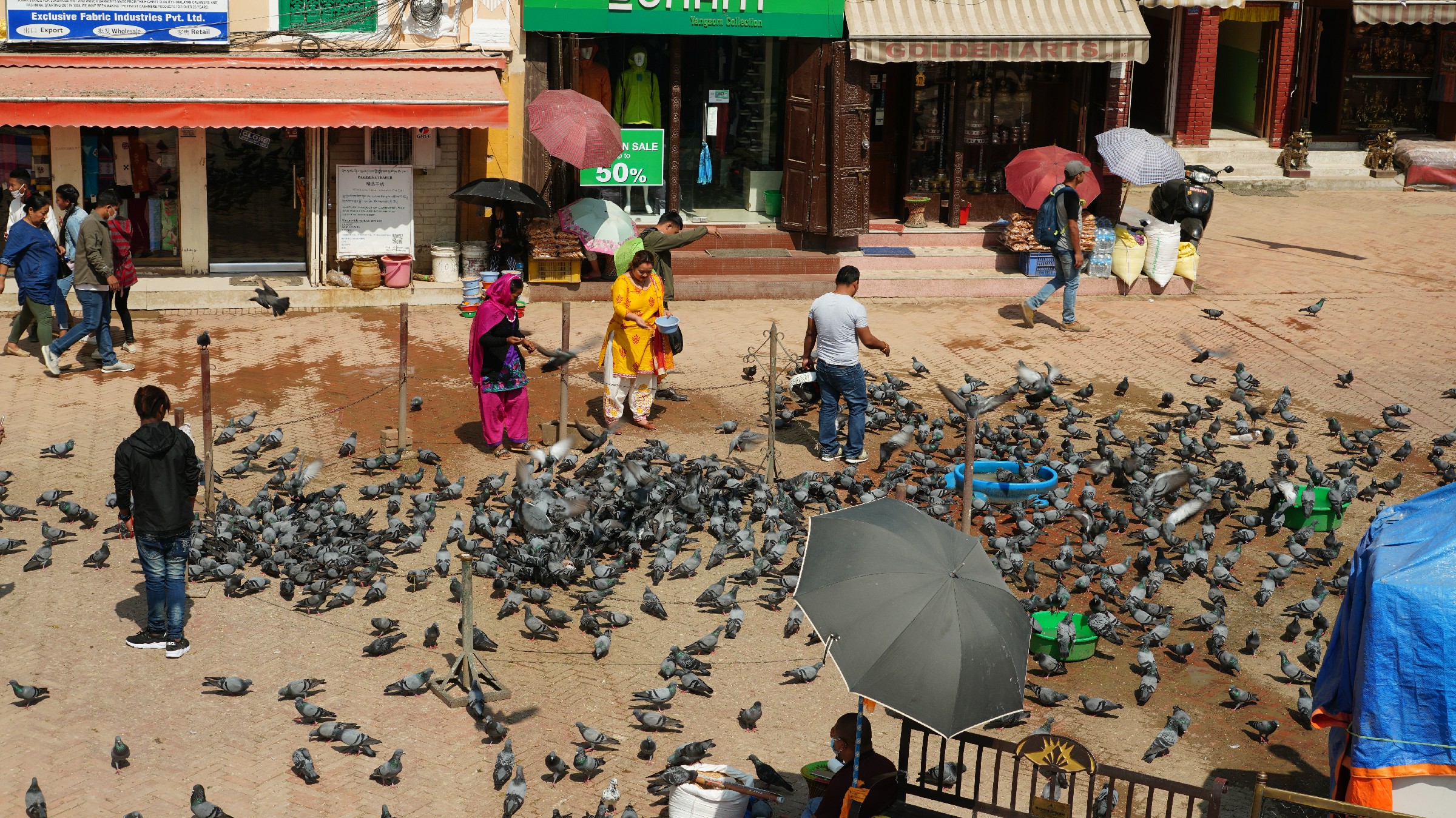 云中鹤游学,云中鹤户外