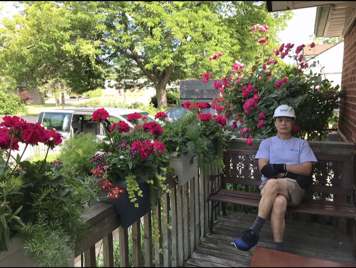 多伦多园丁猴哥猴嫂年龄,多伦多园丁猴哥3月份视频