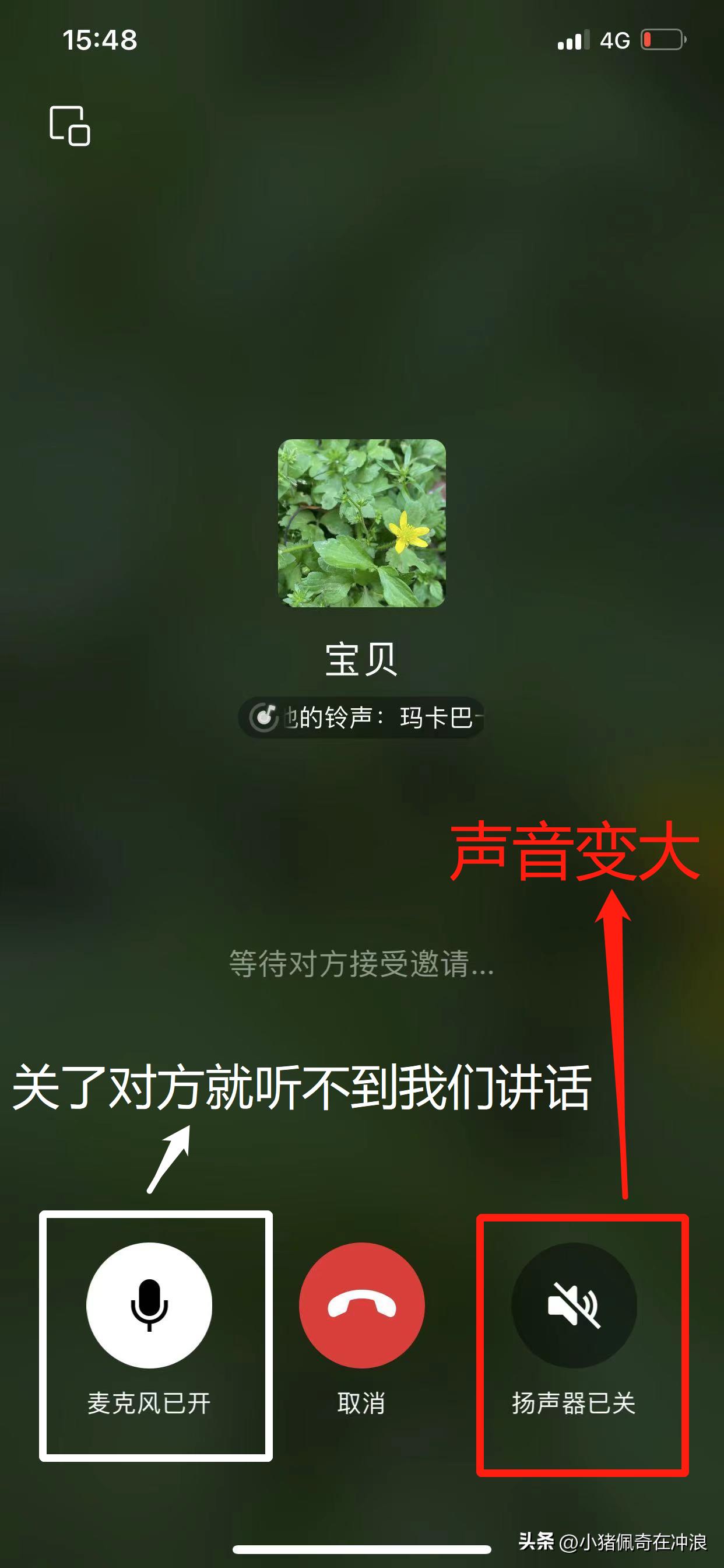 微信怎么设置可以直接拨打电话,微信如何拨打视频通话
