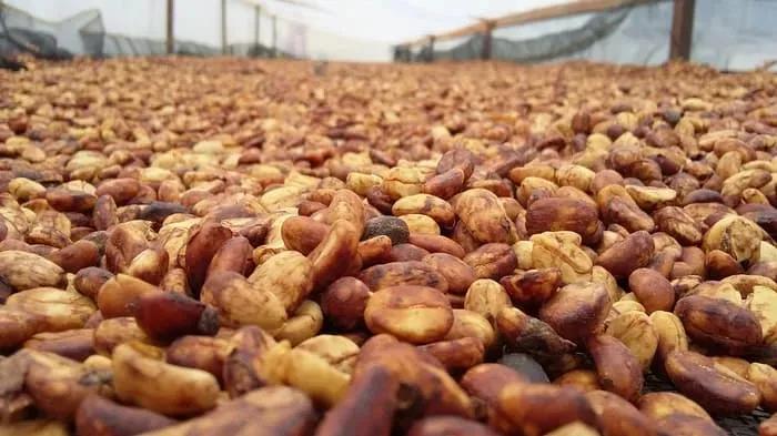 超全的咖啡豆选购指南，意式咖啡豆、手冲咖啡豆推荐攻略