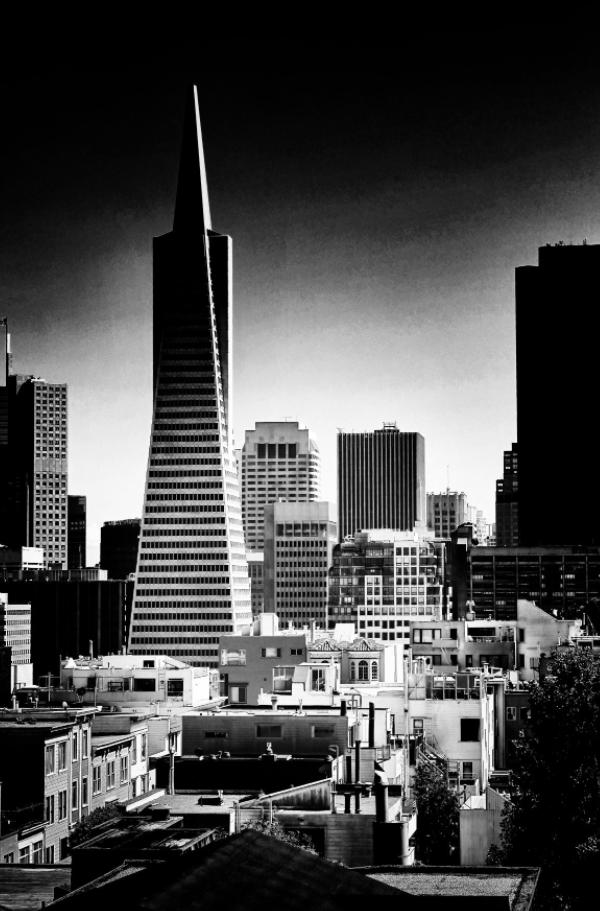 道德、法律与*会：社**十九世纪旧金山的治安困境与挑战