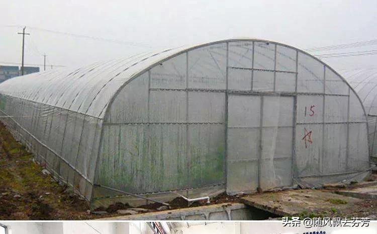 涔￠噹鏁呬簨灞辨醇鏉戠殑椋庢尝,涔￠噹鏁呬簨灞辨醇鏉戝畬鏁寸増