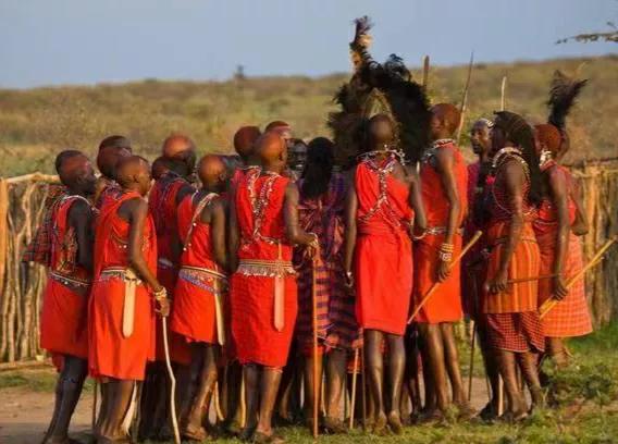 非洲什么族杀狮子最厉害,哪个国家成人礼是单杀一头狮子