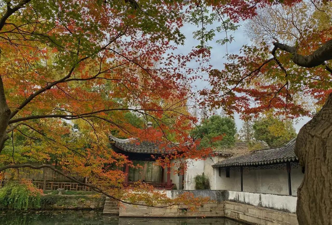 苏州秋季旅游最值得去的地方,苏州赏秋一日游攻略