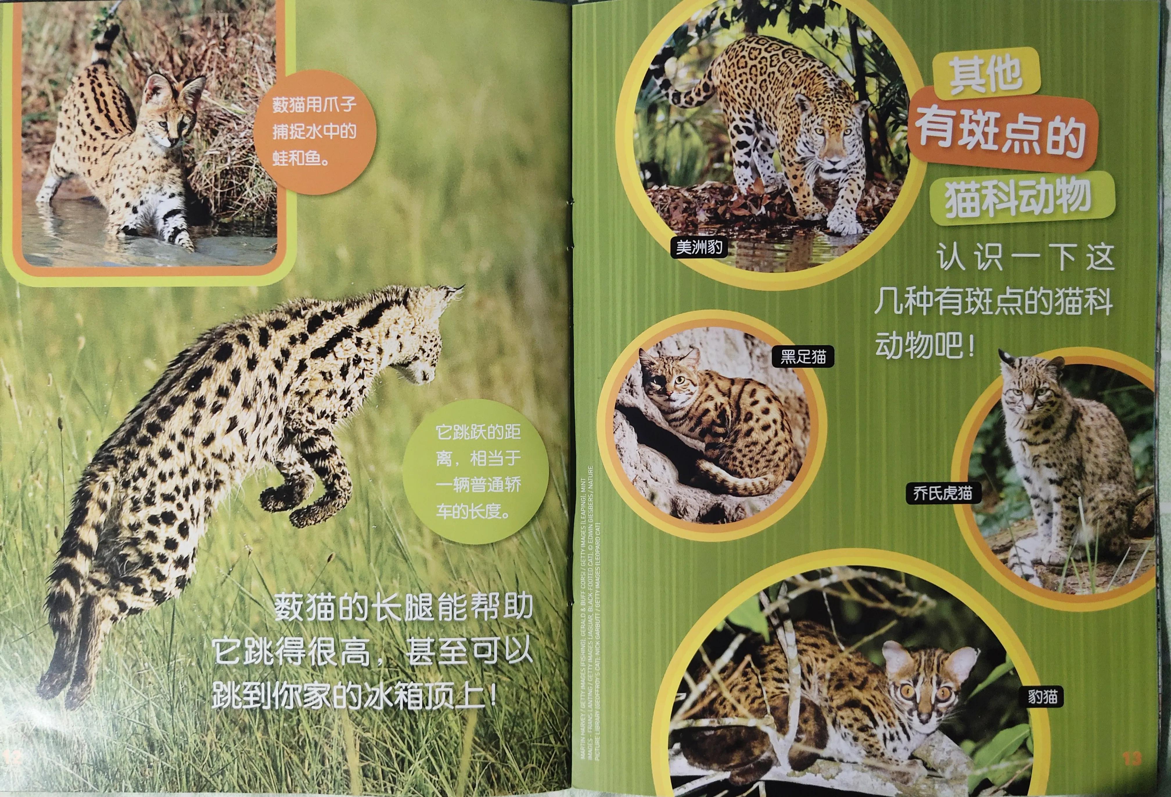 环球少年地理少年版适合多大孩子,环球少年地理阅读收获