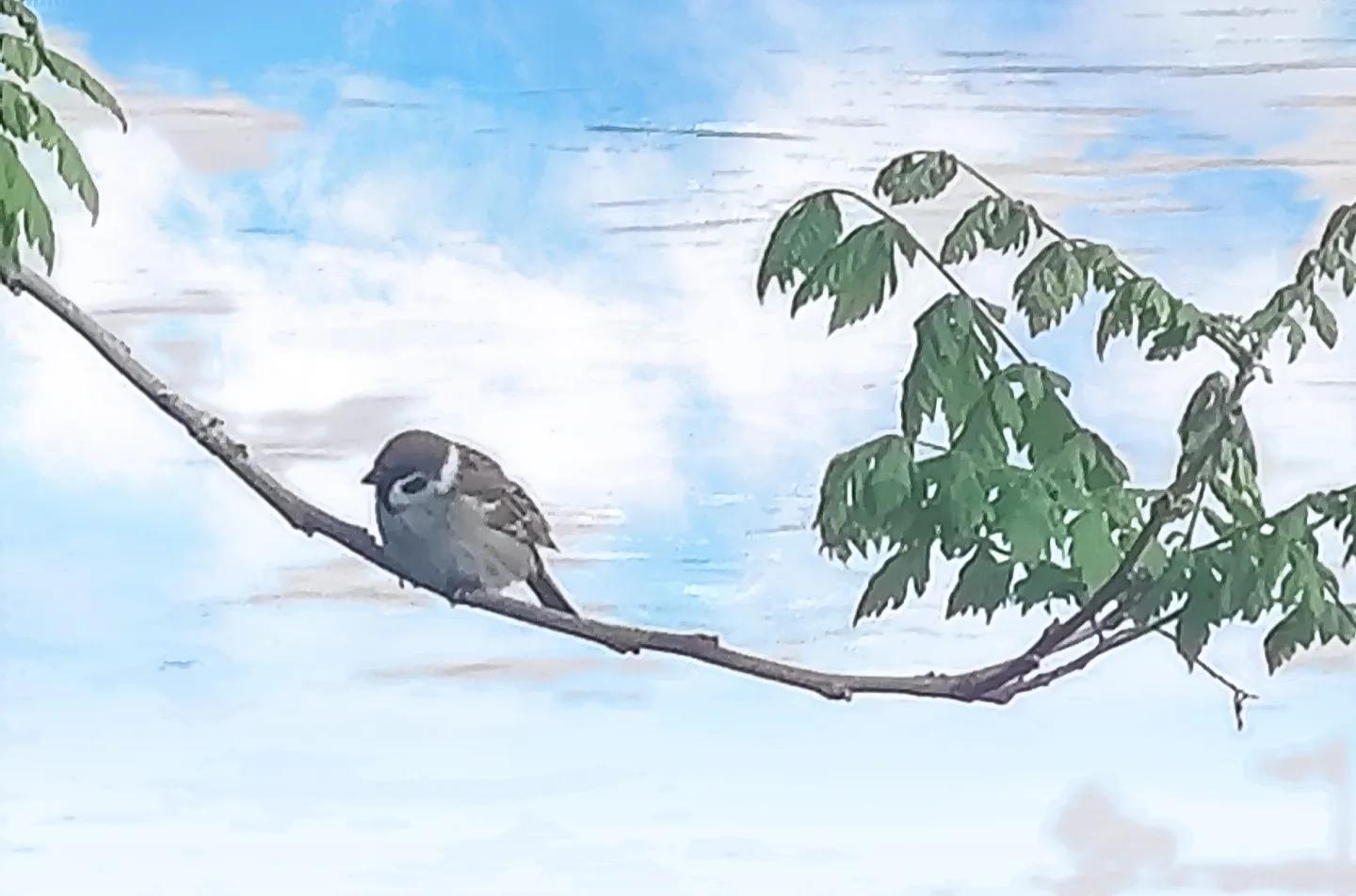 每日一句经典句子简短励志语录,励志语录短句不超过10个字