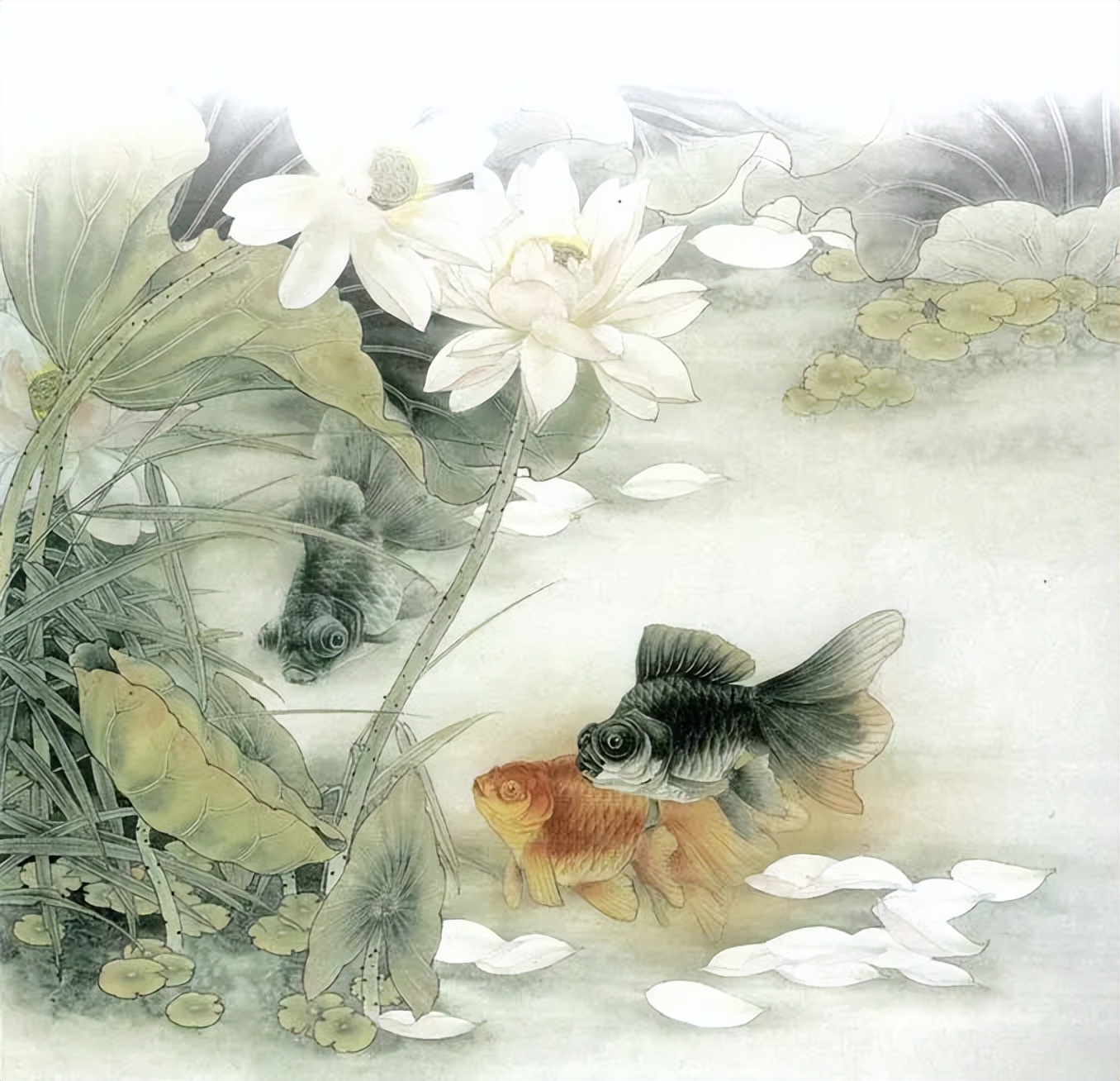 工笔画金鱼图片欣赏,金鱼工笔画精品欣赏