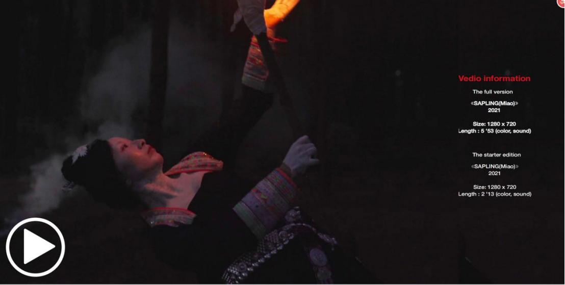 桃花源第三届桃花艺术节,桃花源艺术展