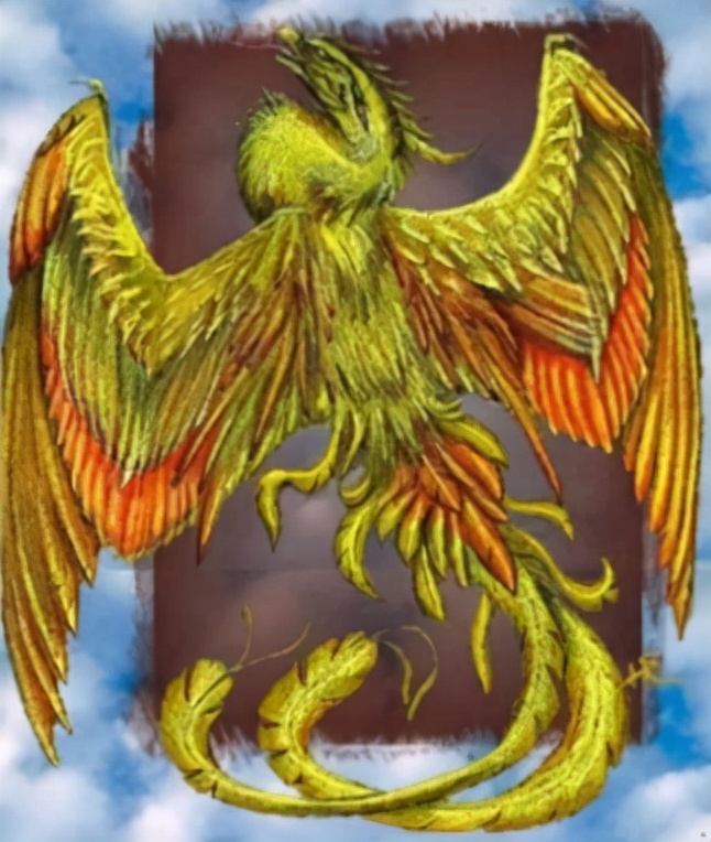 阿拉伯最珍贵的香料,阿拉伯最常吃的香料