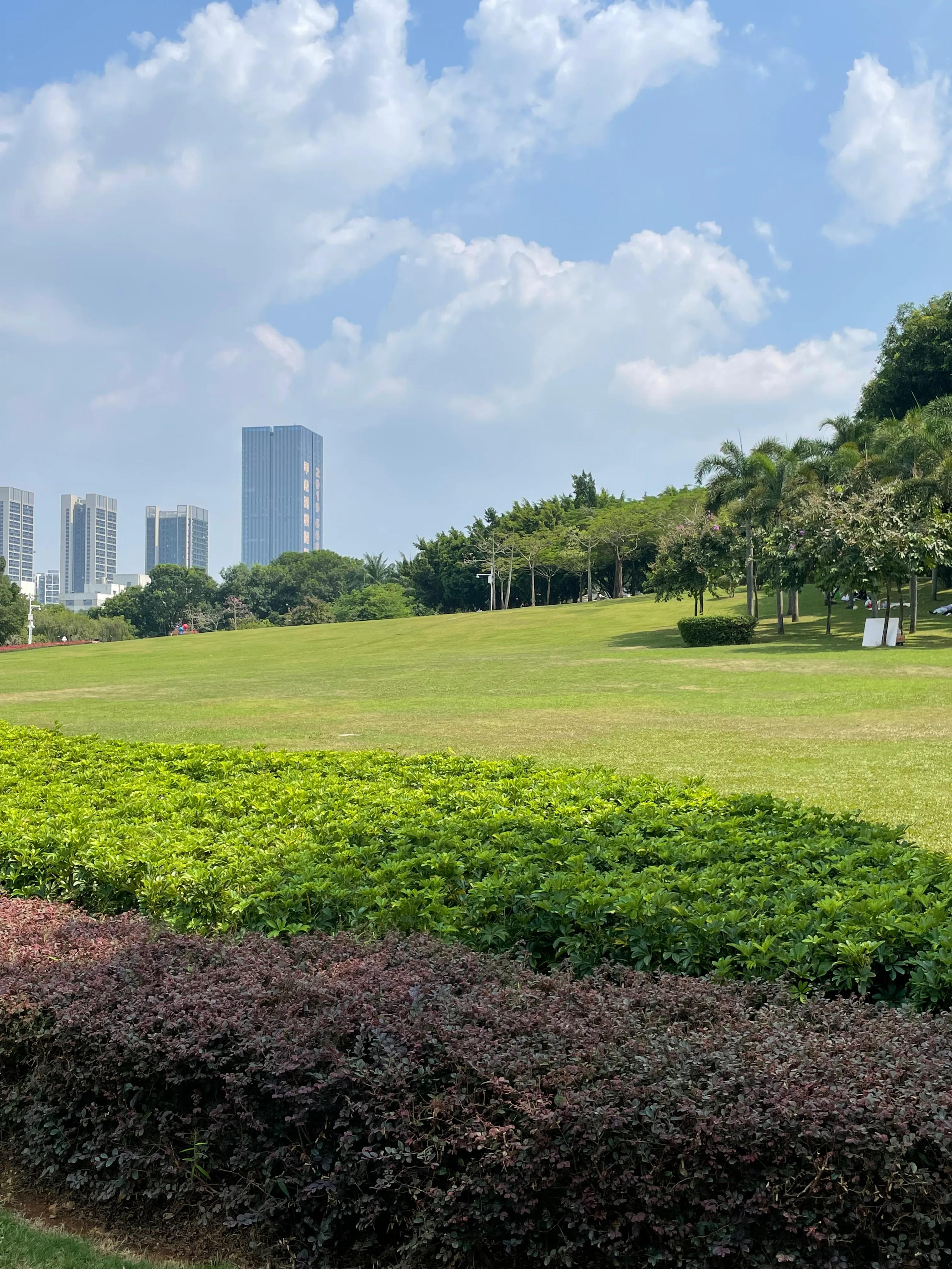 龙岗五联郊野公园,深圳市龙岗区双龙公园