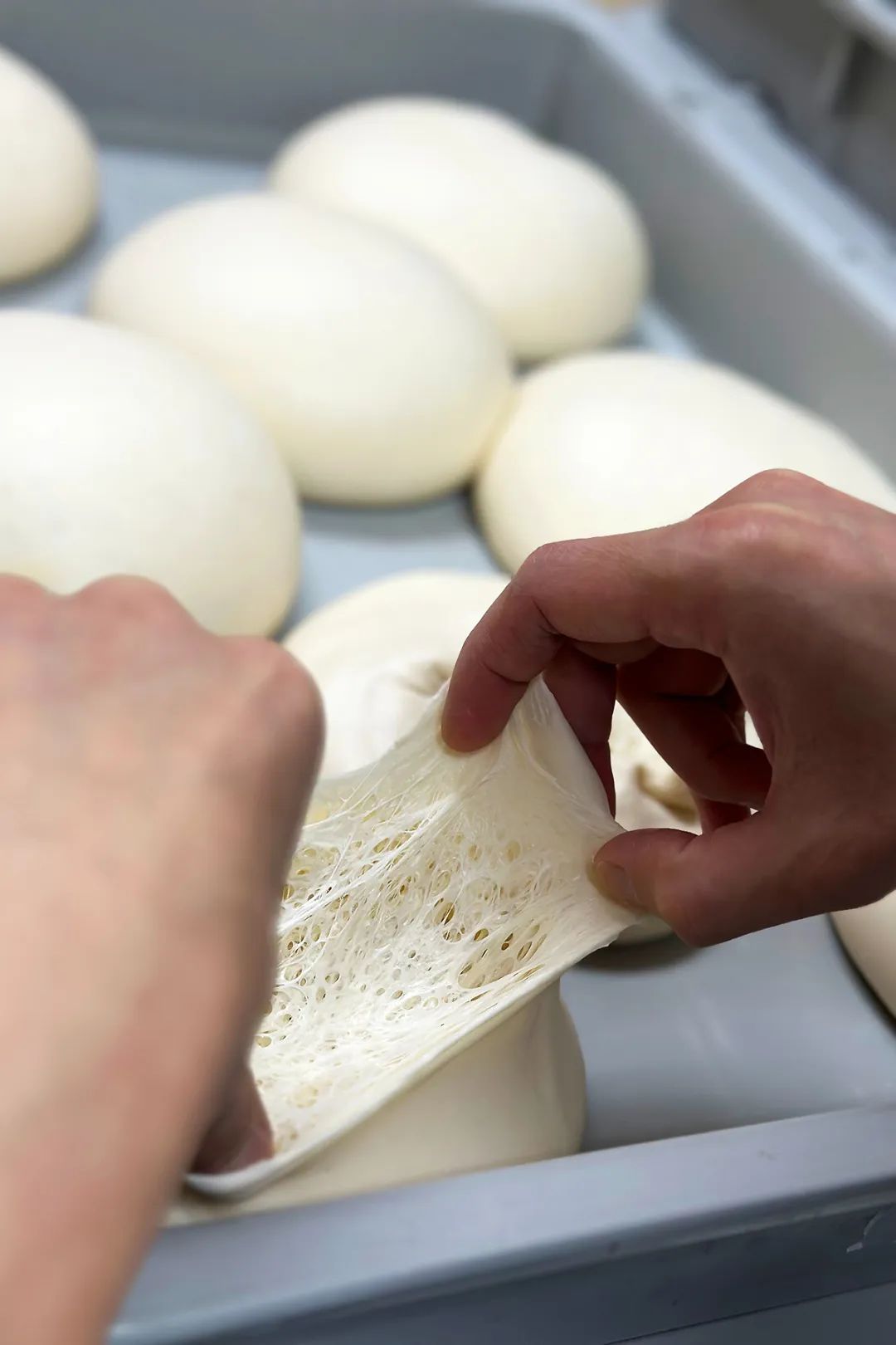 做披萨饼胚时总开裂,披萨饼皮硬是什么原因