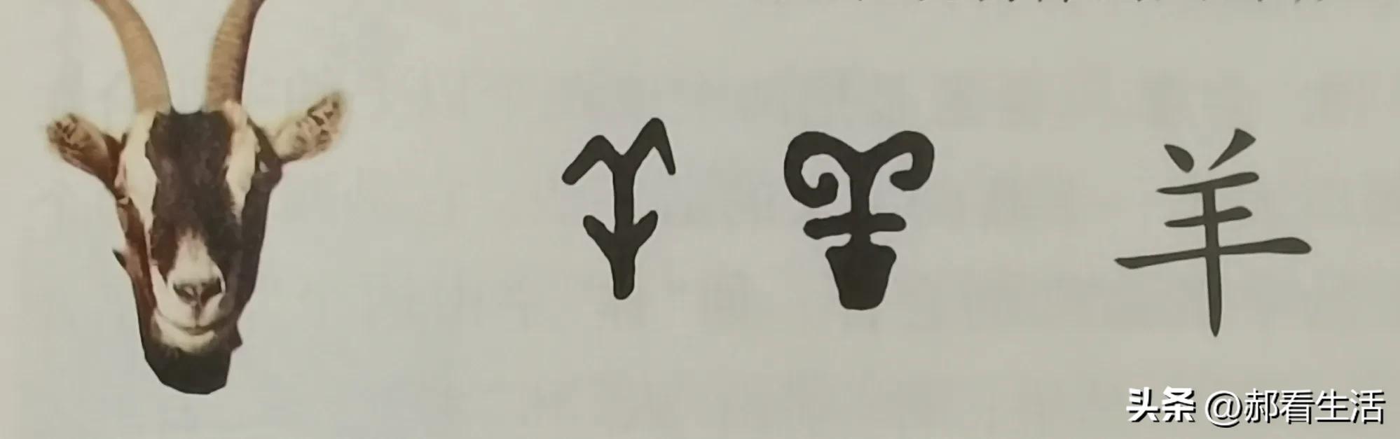 趣说汉字是什么,六书中造字方法怎么区别