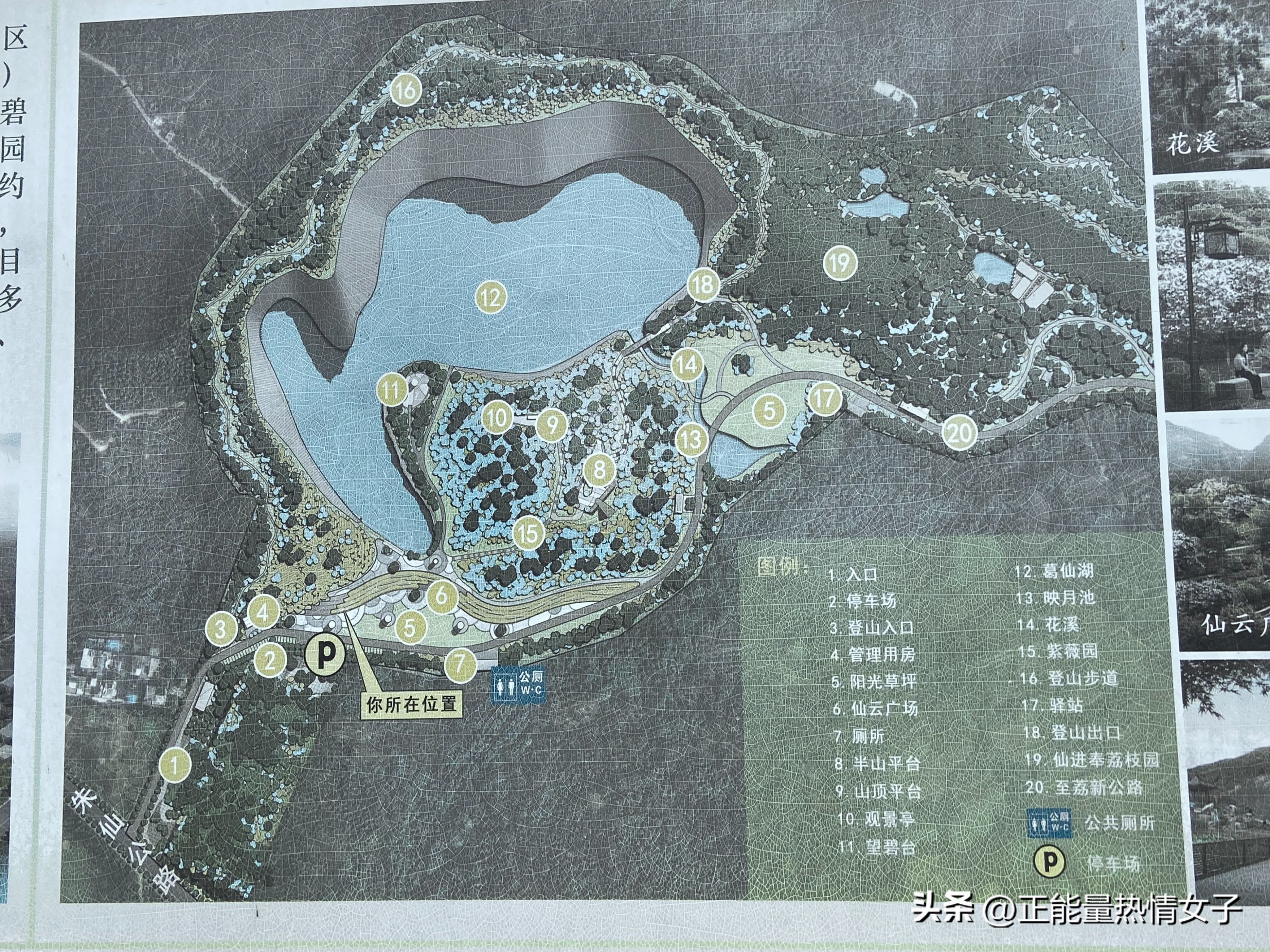 广州梅花岭森林公园,广州市白云区五峰山森林公园