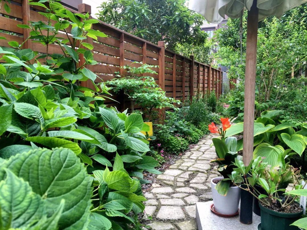 如何打造自己的小院,打造小院最省钱