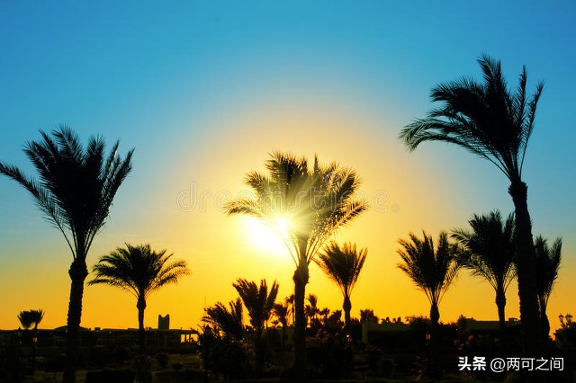 世界杯悲情谢幕,世界历史世界杯