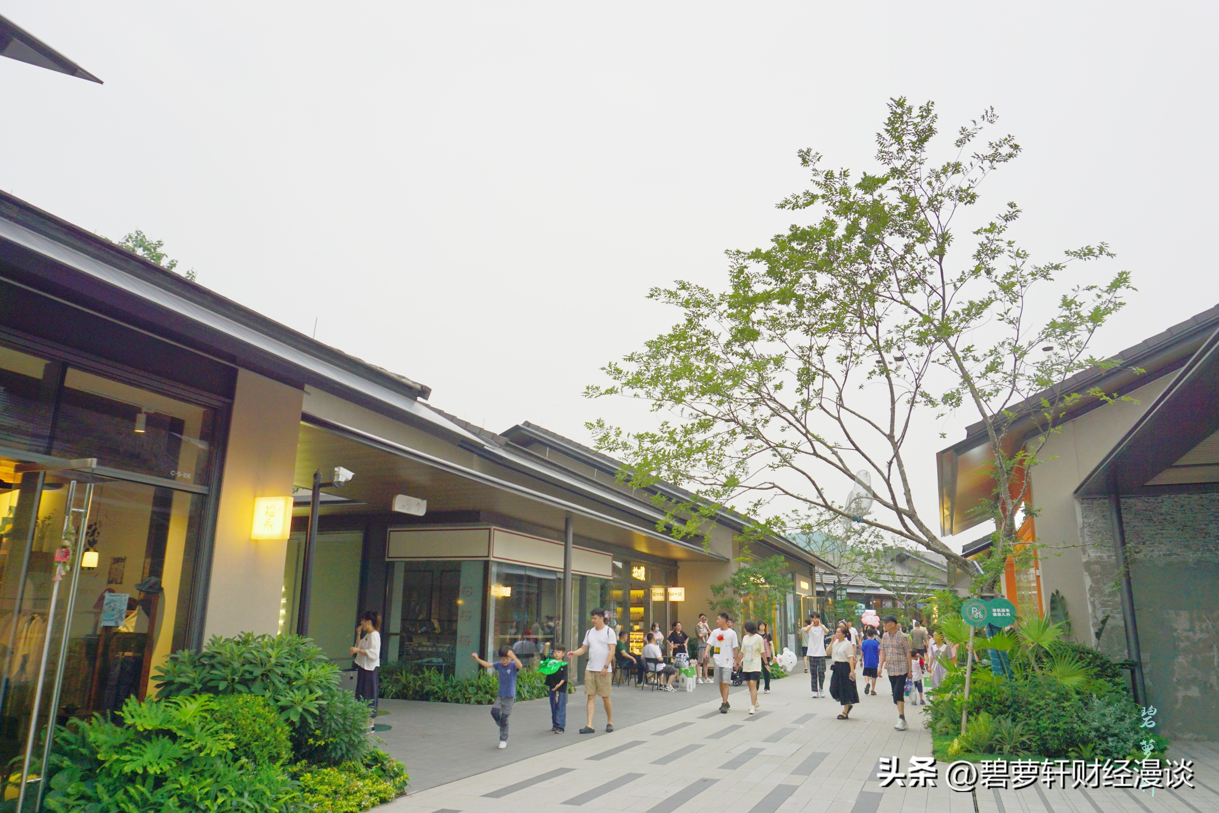 穿越5000年漫步良渚古城遗址公园,穿越千年探秘南粤