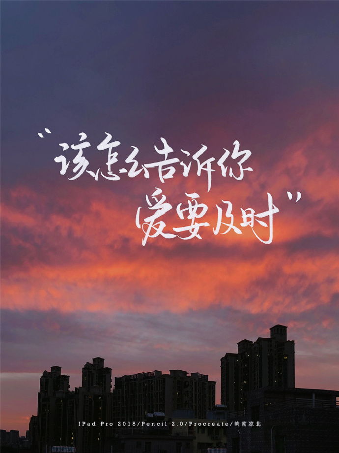 我倾尽了春日全部的诗句，要在天亮前把浓郁的孤独击沉