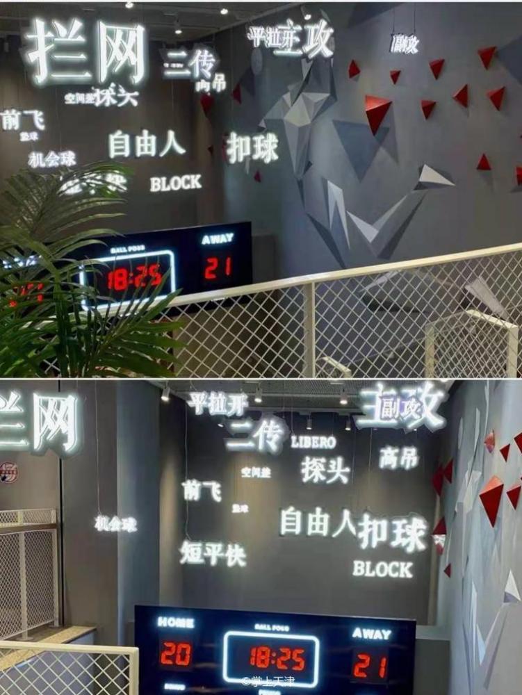 天津人为什么爱天津女排？